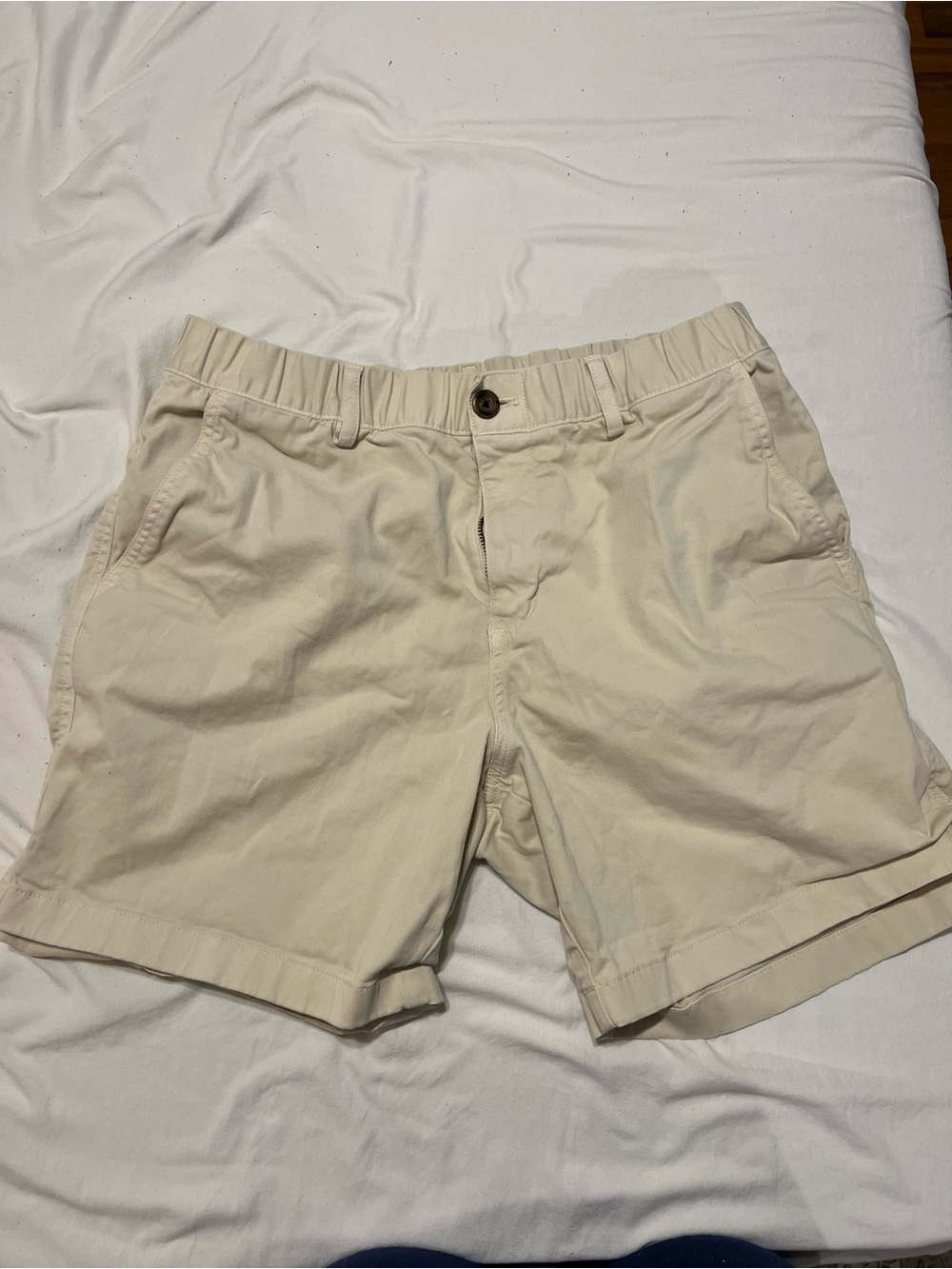 Men's Flat Front Cotton Chino Shorts — Cream